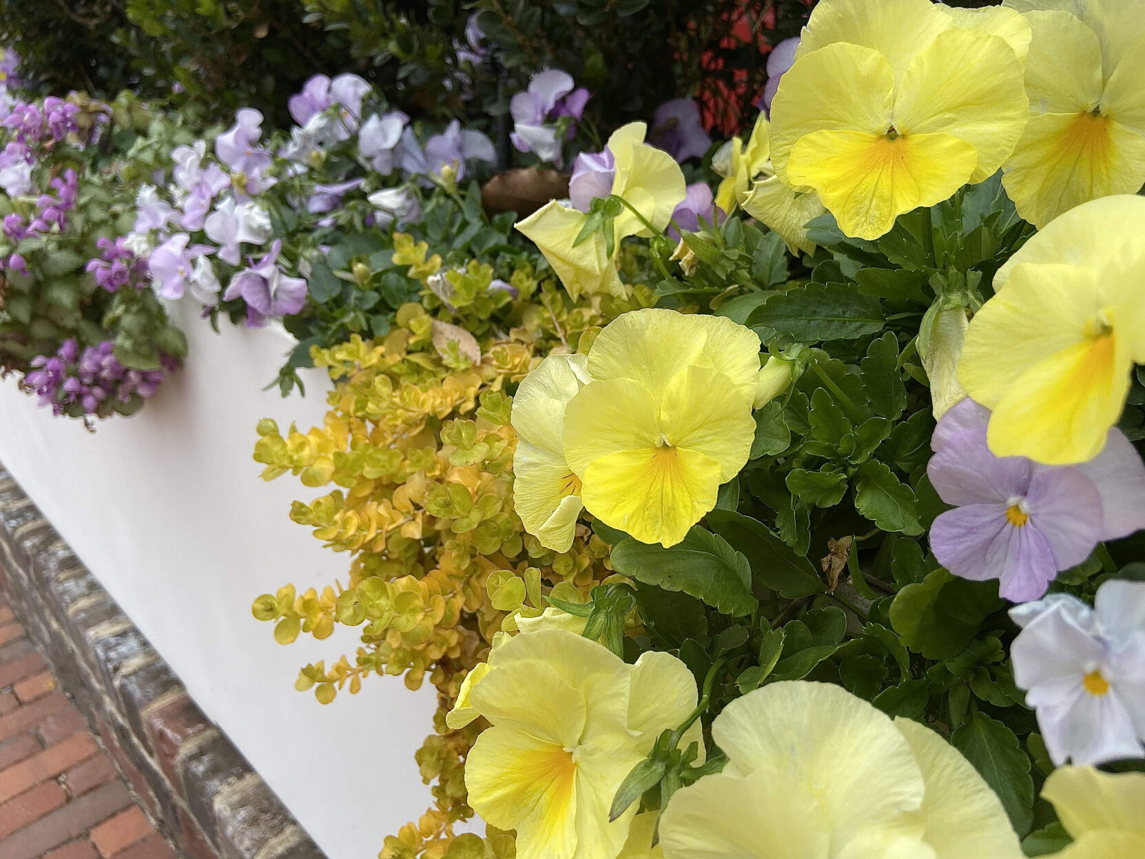 LIFE-HOME-ONGARDENING-2-MCT